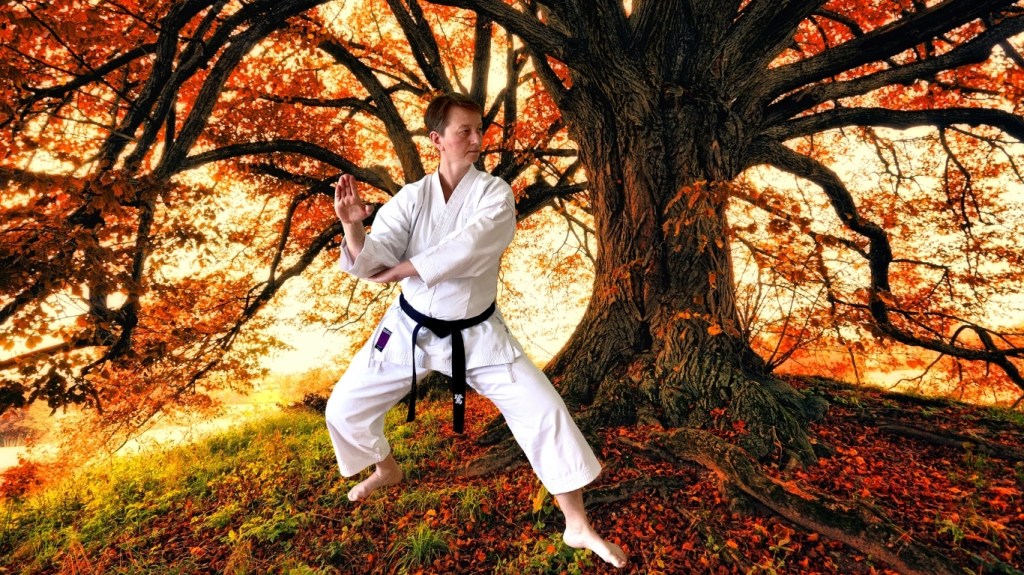 Die Kunst, präsent zu bleiben – Stress, Nervensystem und&nbsp;Kampfkunst